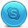 Skype Icon